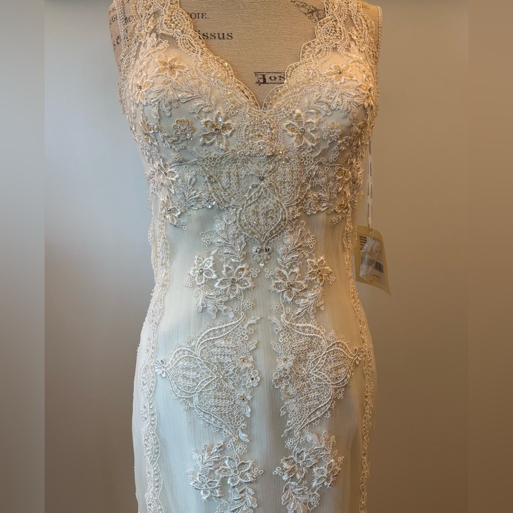 Pronovias Barcelona Huella Vintage Inspired Lace Wedding Gown - Picture 13 of 15